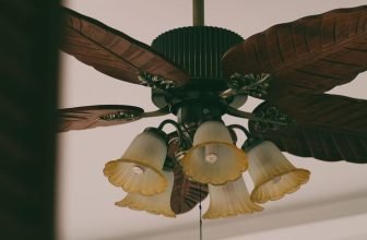 Ventilador de techo con luz: cómo elegirlo