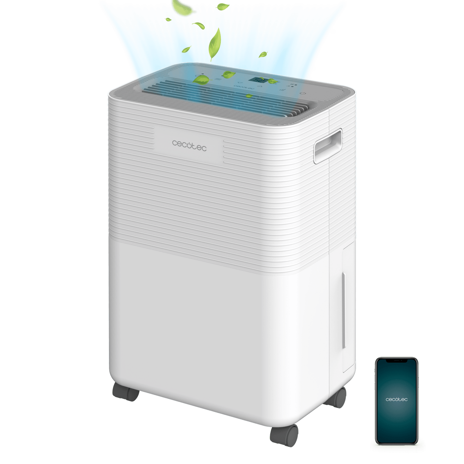 Cecotec BigDry 6500